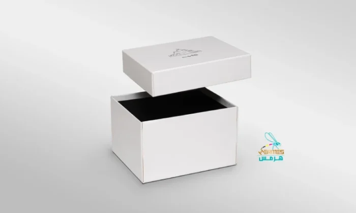 سفارش هاردباکس با نقره کوب